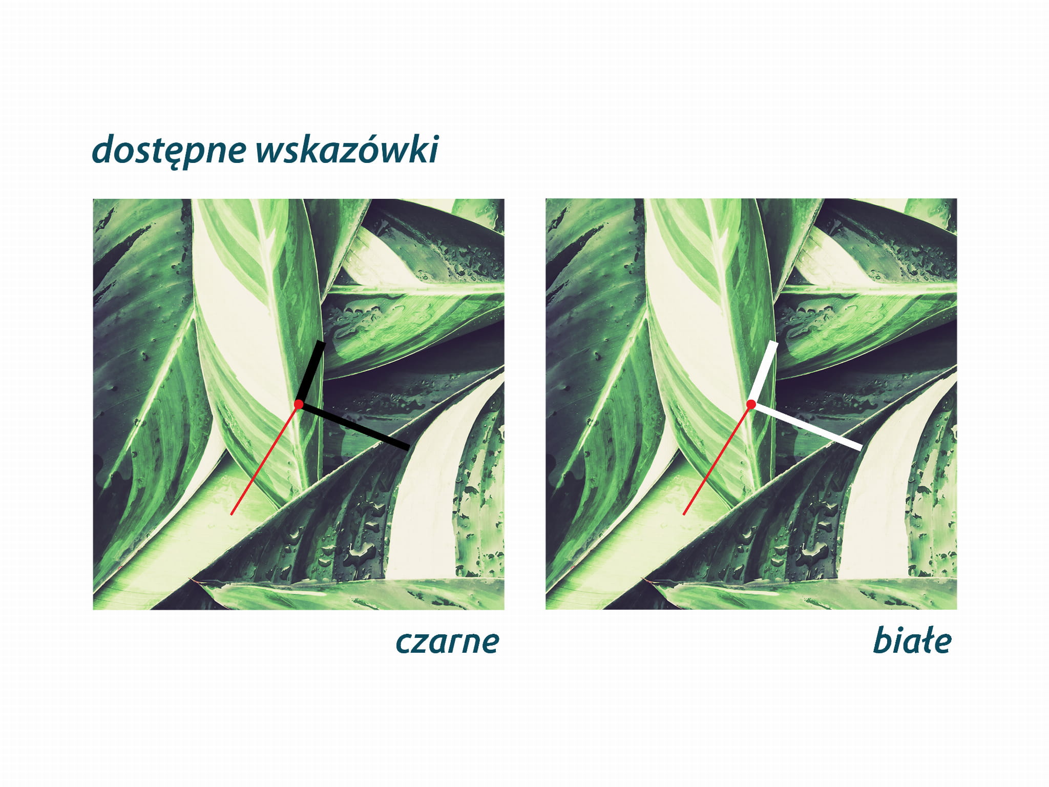 ZEGAR SZKLANY OKRĄGŁY - Dżungla