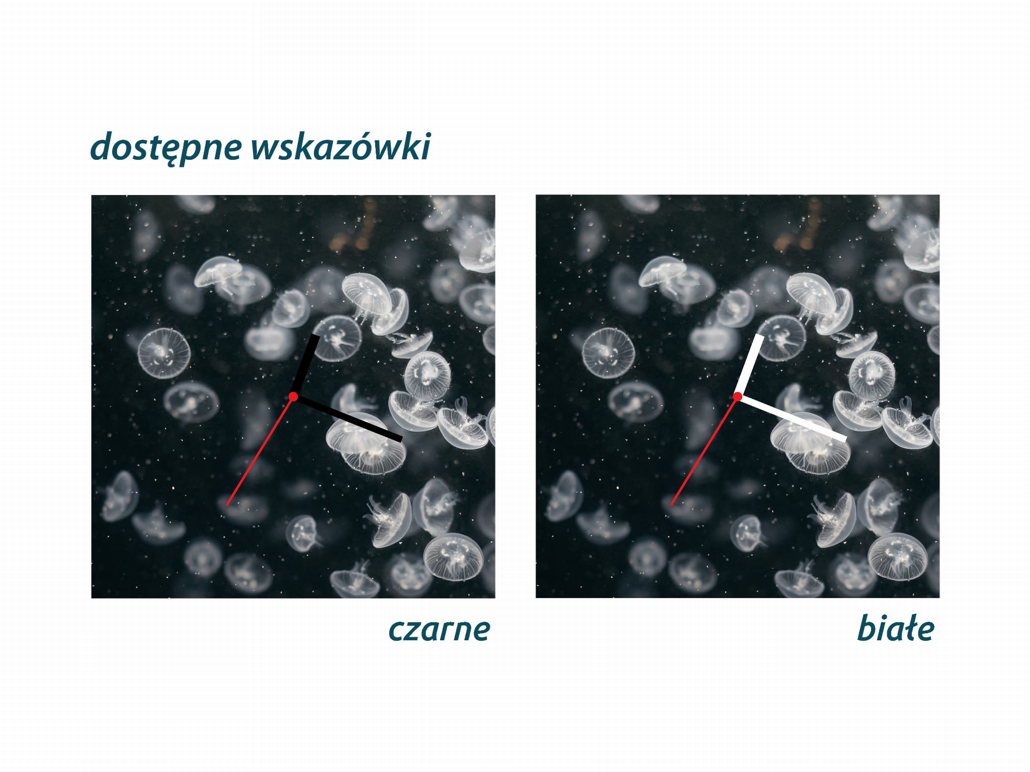 ZEGAR SZKLANY ROMB - Meduzy